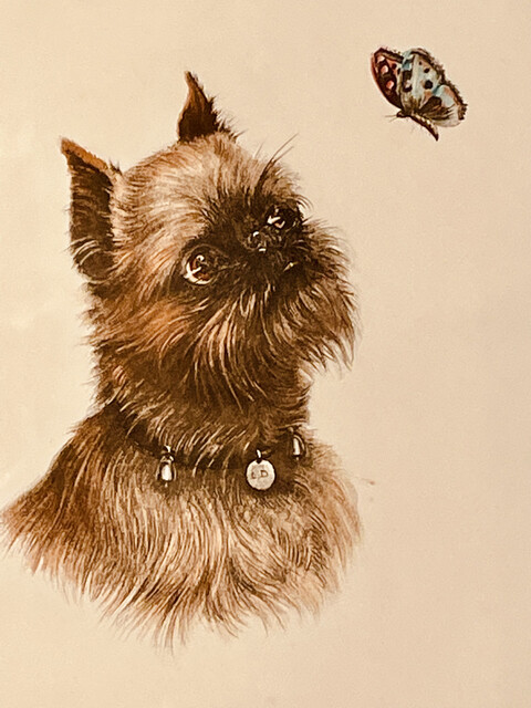 ' Brussels Griffon and Butterfly ' Léon Danchin ( 1887 - 1938 ) Signed and Numbered. Special price : 400 €.
