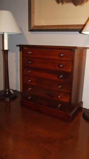 English 19thC small mahogany collector's cabinet.