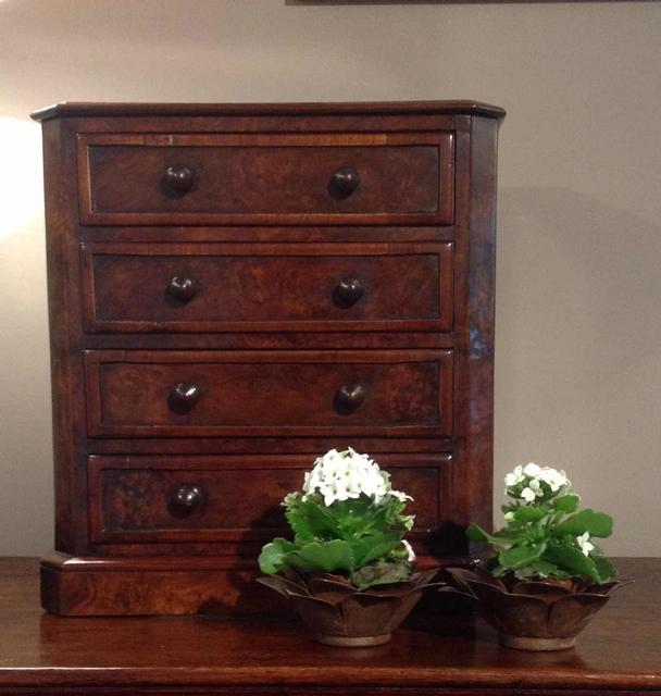 English 19thC burr walnut mini- chest of drawers