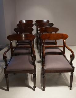 A Set of 8 William IV Mahogany Dining Chairs including Two Armchairs.