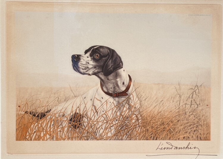 An Early 20th Century Litho ' Chien à l' arrêt ' Signé  Léon Danchin. France, 1887-1939