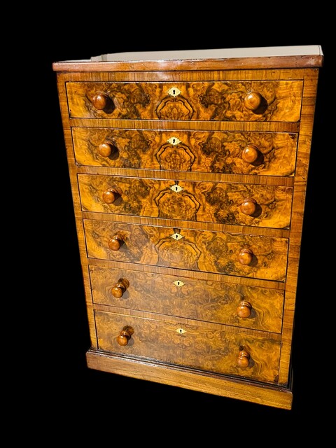 An English 19th Century Burr Walnut Cabinet. 