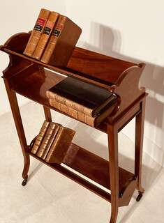 An English Edwardian Mahogany Book Stand on Castors.